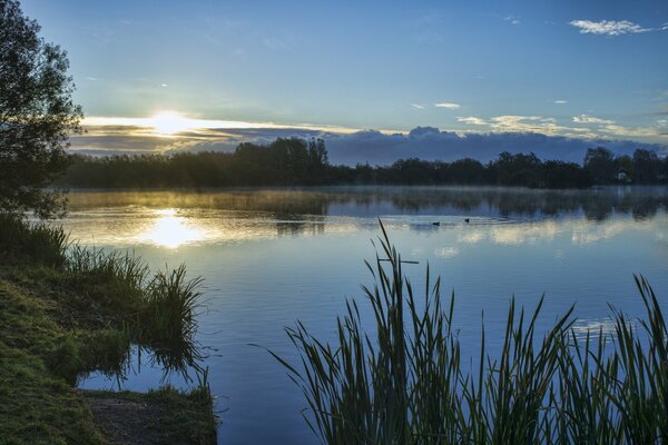 Sunset on the lake with ducks