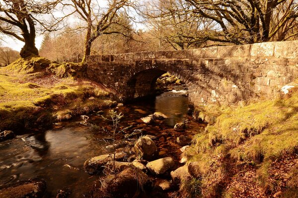 Old bridge on the river in the park