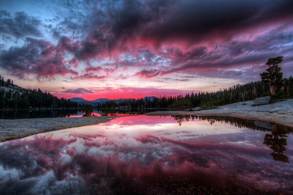 Purple sunset in the reflection of a forest river