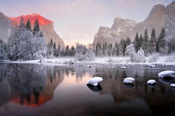 A mirror image of a winter forest on the water