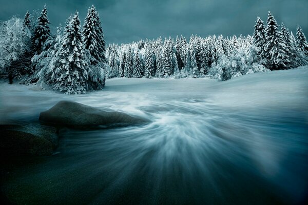 Foresta invernale magica in cumuli di neve