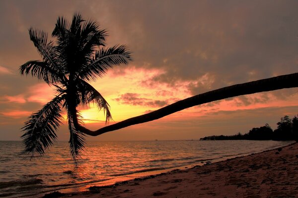 The Gulf of Thailand on the island if you get there it s very cool