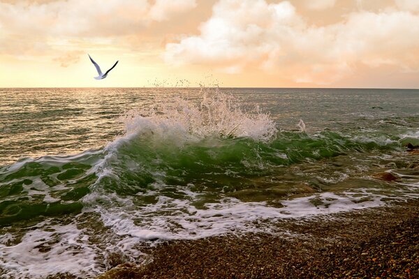 Sur la mer mouette dans les nuages