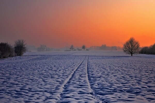 Winter sunset. Snowy Plain