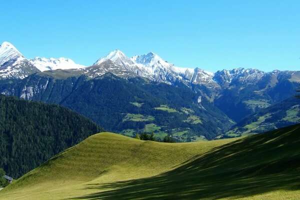 Grüner Bergabhang an einem sonnigen Tag