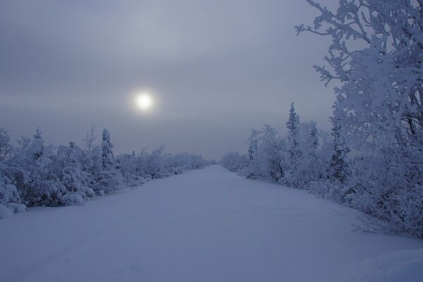 Tranquillo giorno di neve invernale