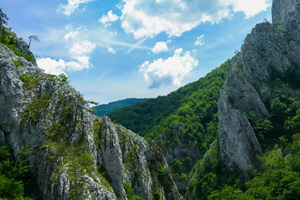 Пейзаж голубое небо и высокие горы