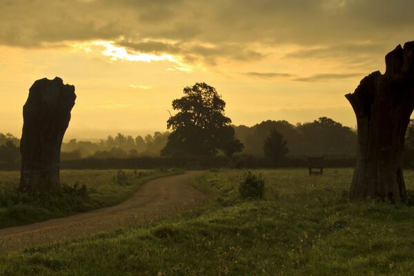 Tramonto nel campo. Paesaggio con strada serale