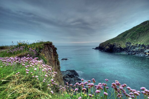 Klippenabbruch im Meer mit Blumen