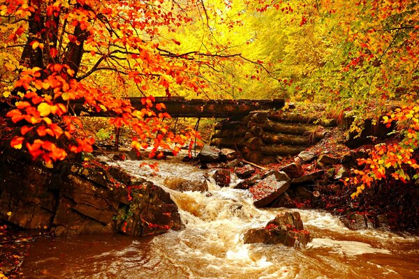 Landschaft goldener Herbst unter dem Fluss