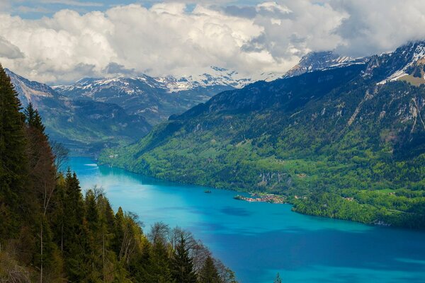 Blauer Fluss entlang der Berge und des Waldes