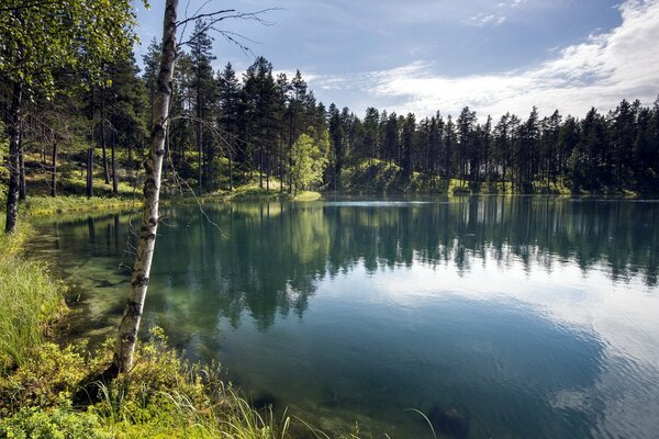 Blauer See mit einem Spiegelbild des Sommerwaldes