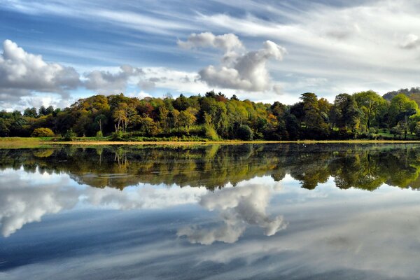 Forest and floating white clouds reflected in a clear lake