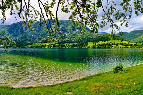 Érase una vez en Eslovenia en verano con árboles verdes y un lago limpio