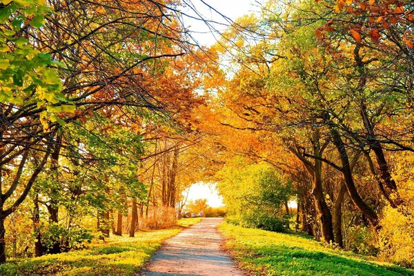 Paesaggio autunnale, colori autunnali