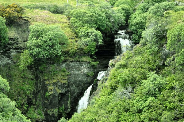 Schöner Wasserfall mit viel Grün bewachsen