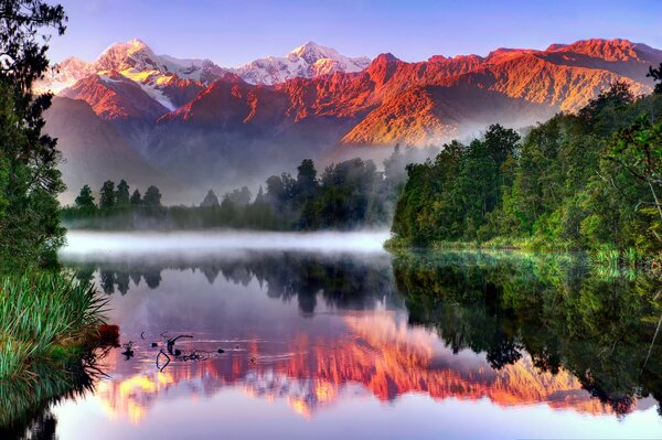 Alpi meridionali, Nuova Zelanda, Parco Nazionale di Westland, Alpi meridionali, lago Matheson, Ghiacciaio Fox nel riflesso del lago vicino alla foresta e alle montagne