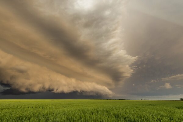 Unusual clouds over a green field