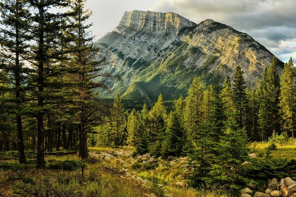 Widok na Mount Rundle w Parku Narodowym Banff w Kanadzie