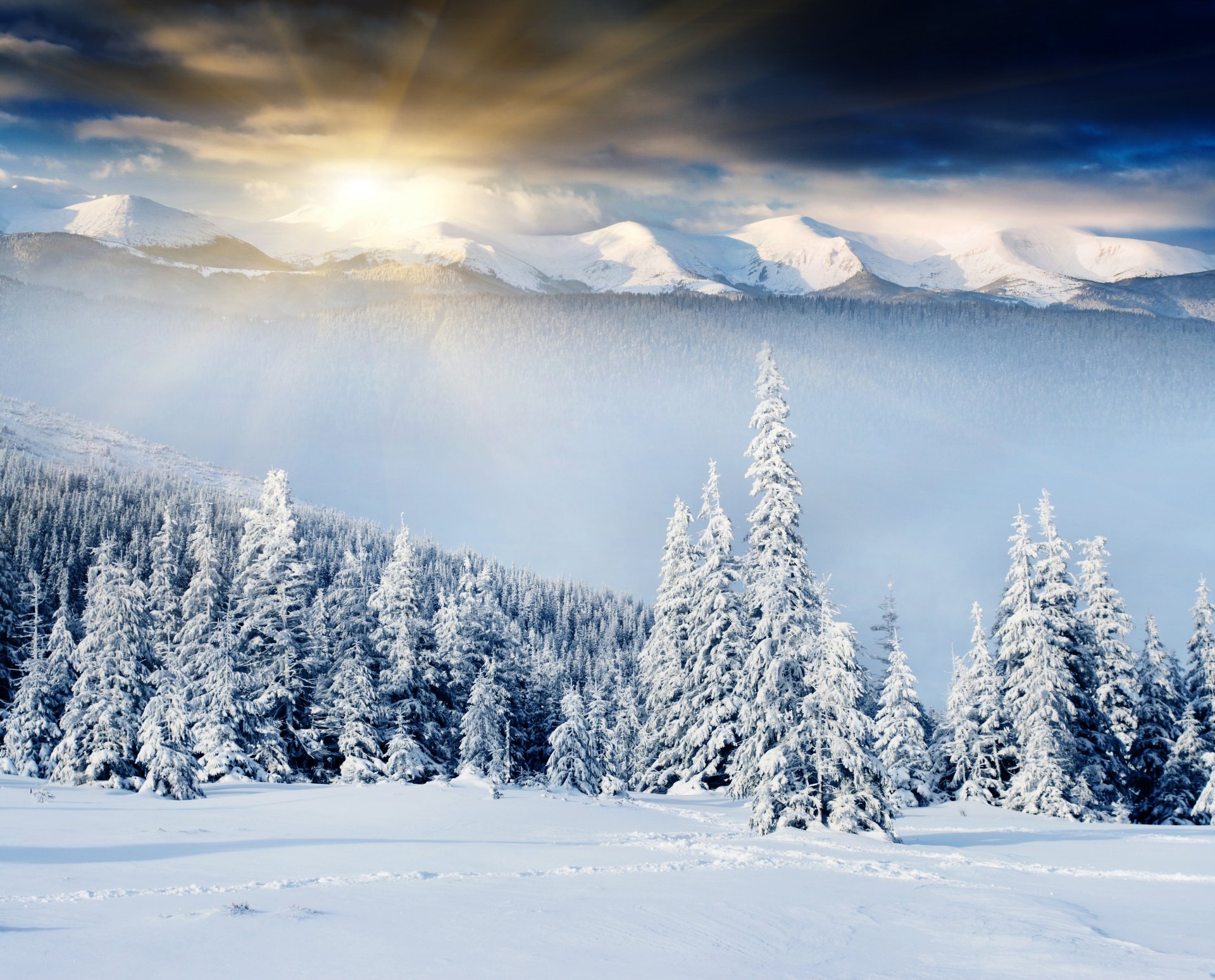 inverno colline neve cumuli di neve tracce foresta alba