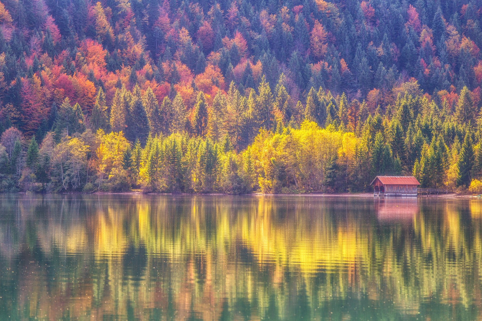 otoño bosque lago reflexión