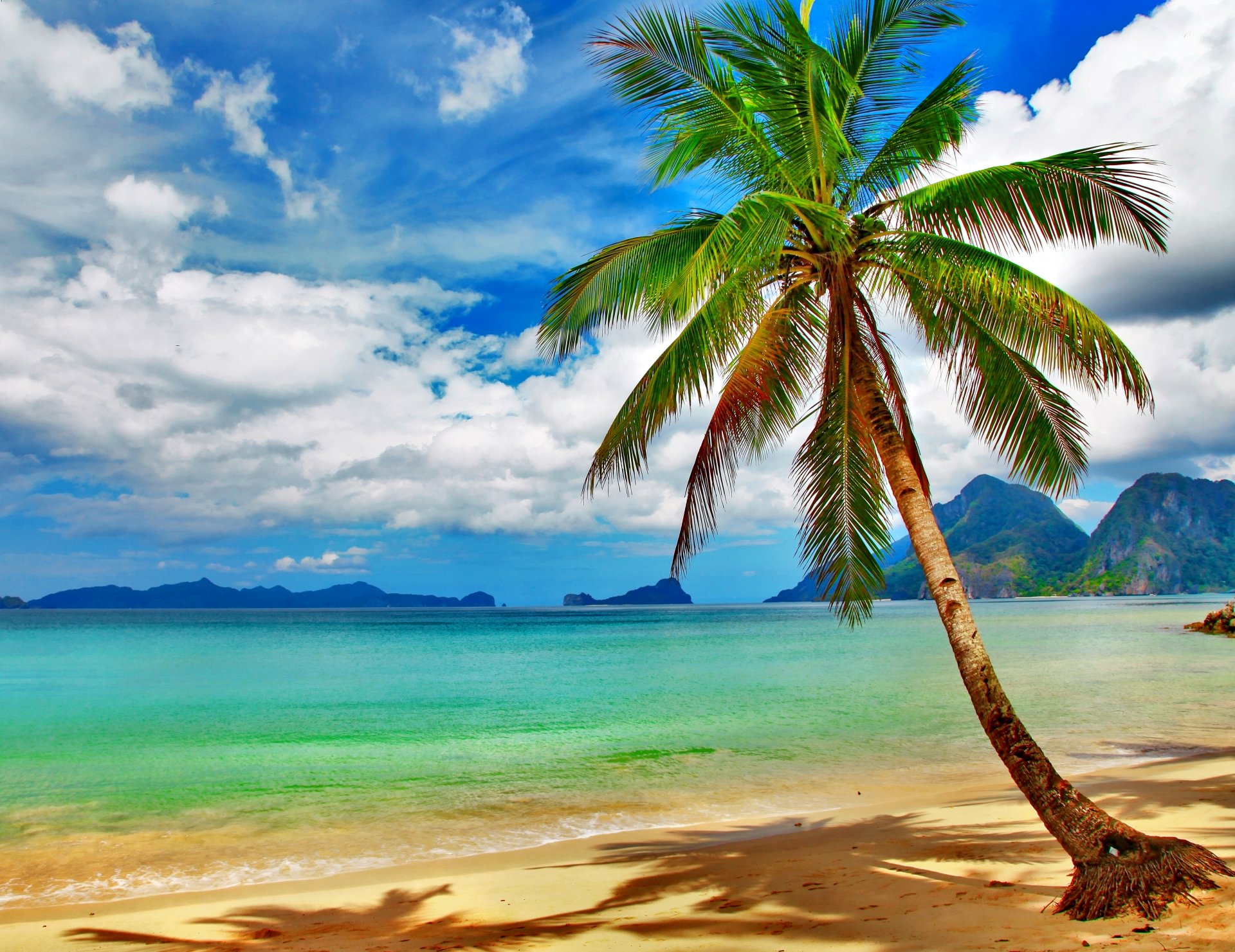 tropical paradise beach coast sea blue emerald ocean palm summer sand vacation tropics sun island shore