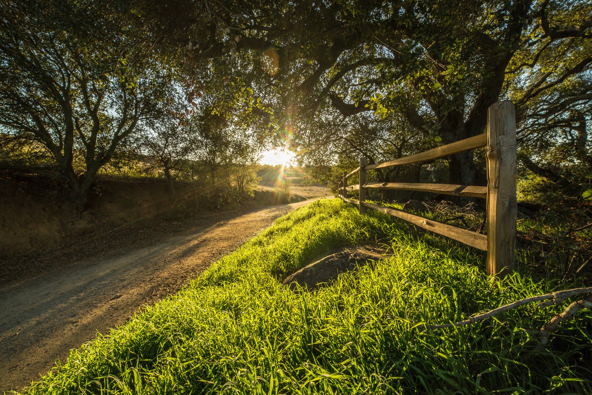 usa kalifornien santa rosa ranch bäume straße zaun sonne strahlen