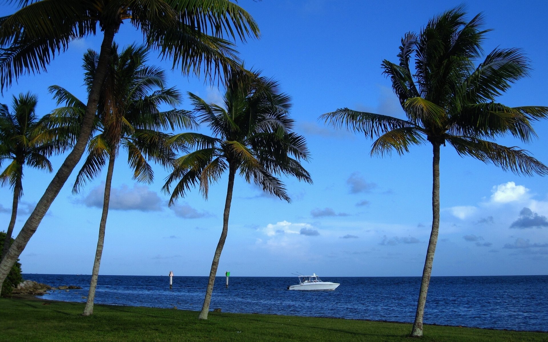 miami floride océan atlantique palmiers bateau côte tropiques