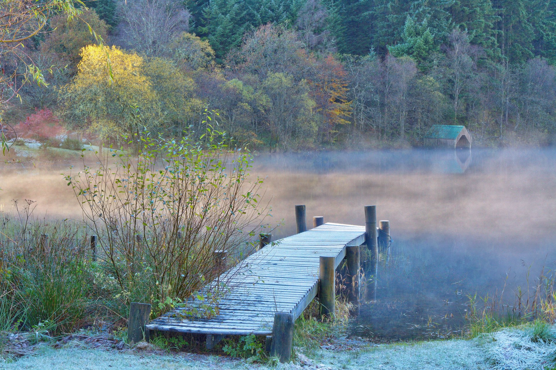 forêt rivière brume pont automne gel givre