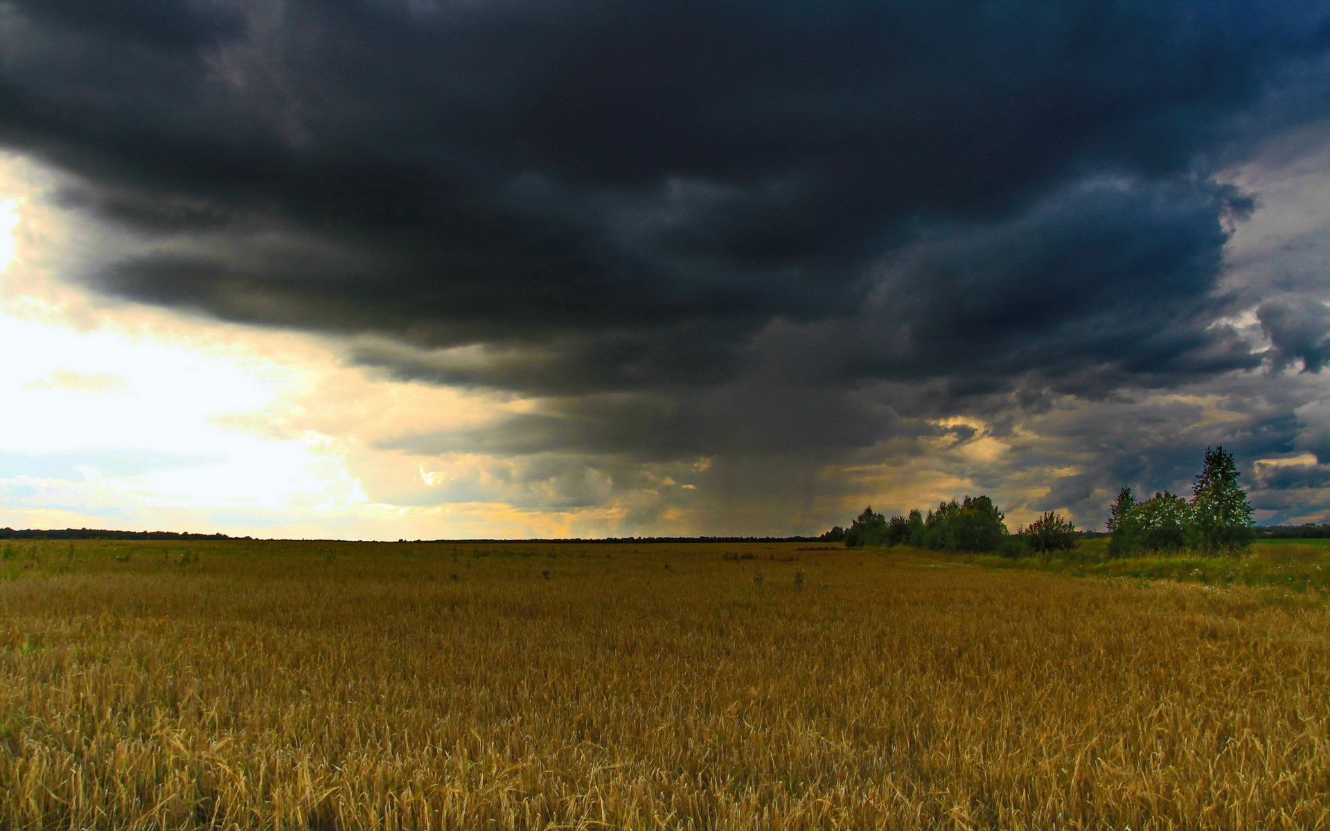 campo pioggia nuvole paesaggio