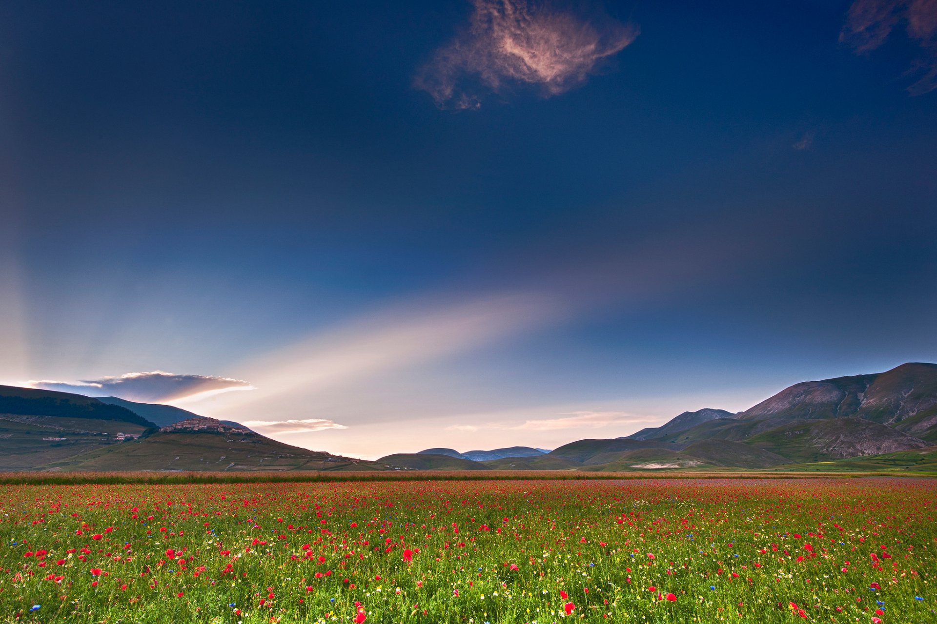 italia umbria campo papaveri cielo luce nuvola