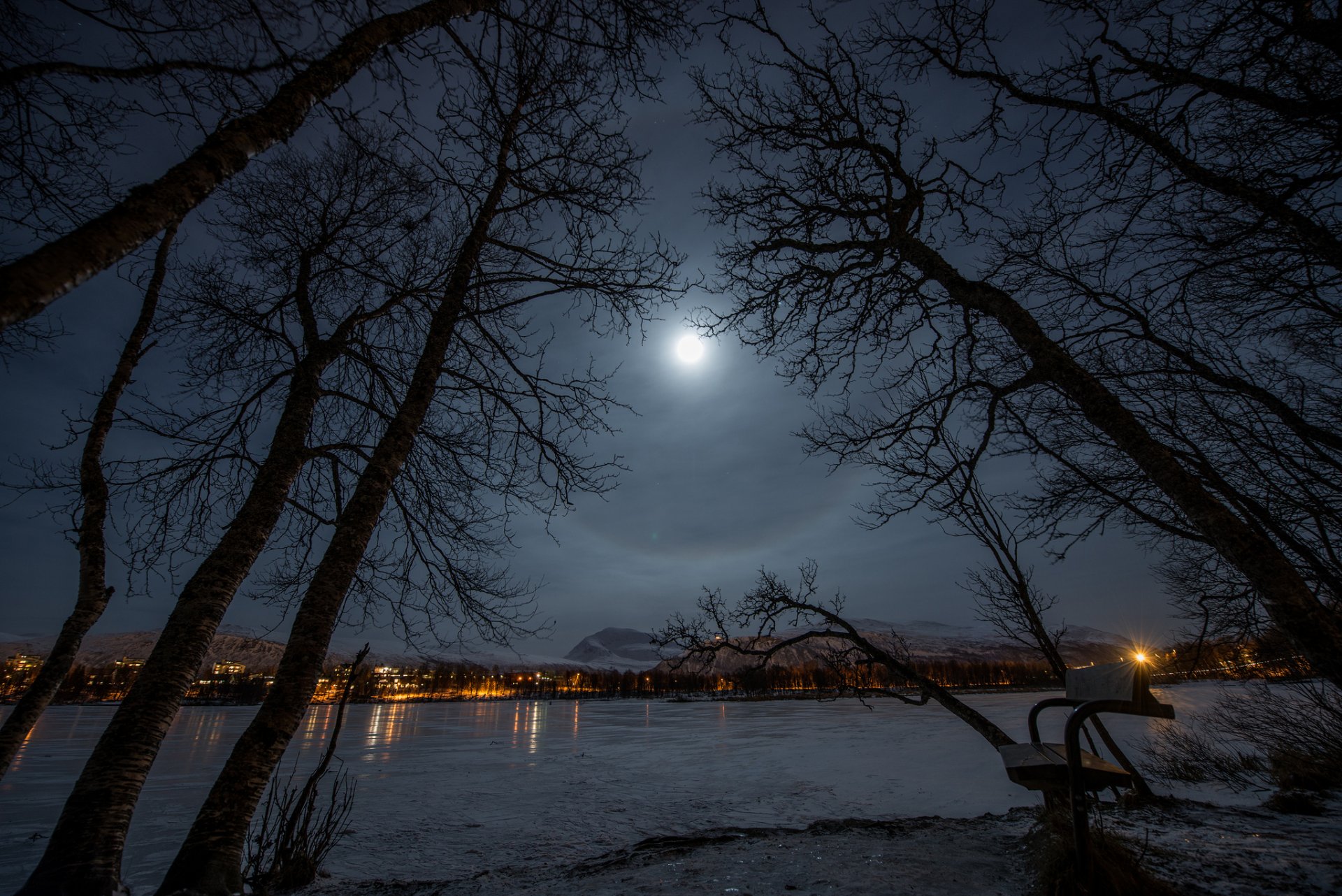 town park bench lake winter night moon light