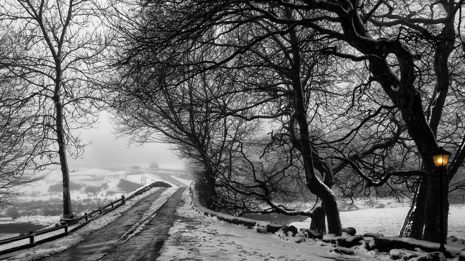 strada alberi inverno paesaggio