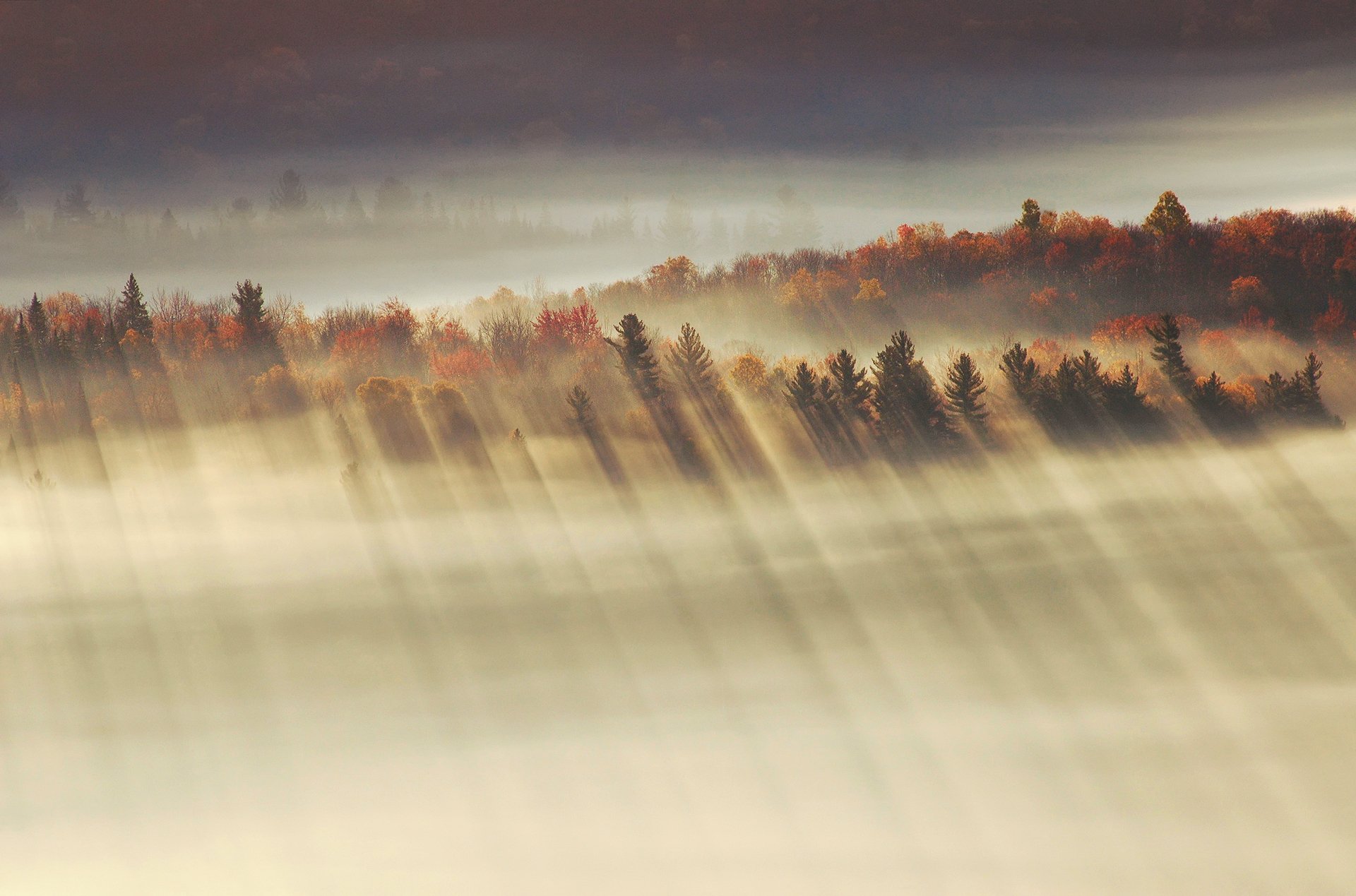 matin vallée automne rayons lumière