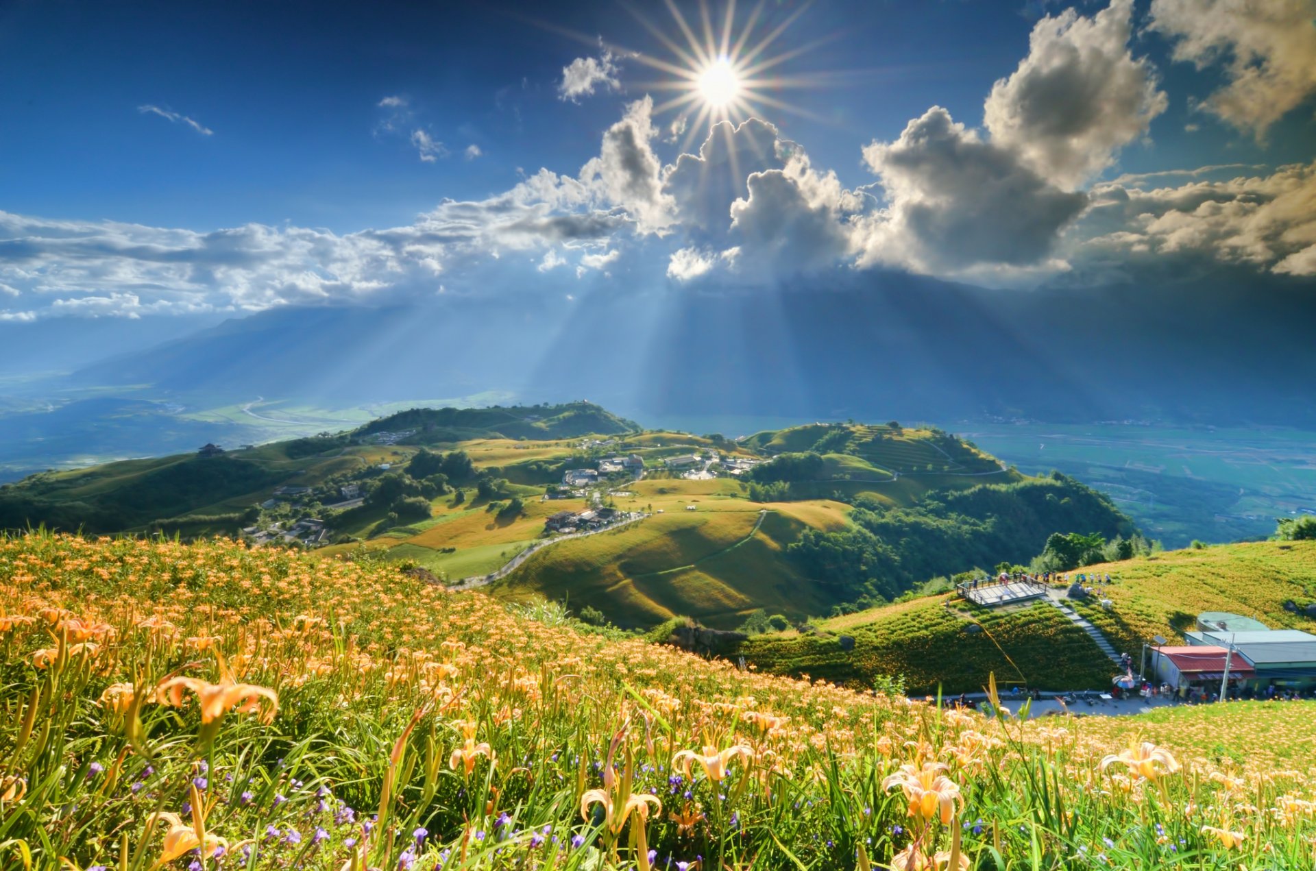 berge hang blumen lilien sonne wolken strahlen