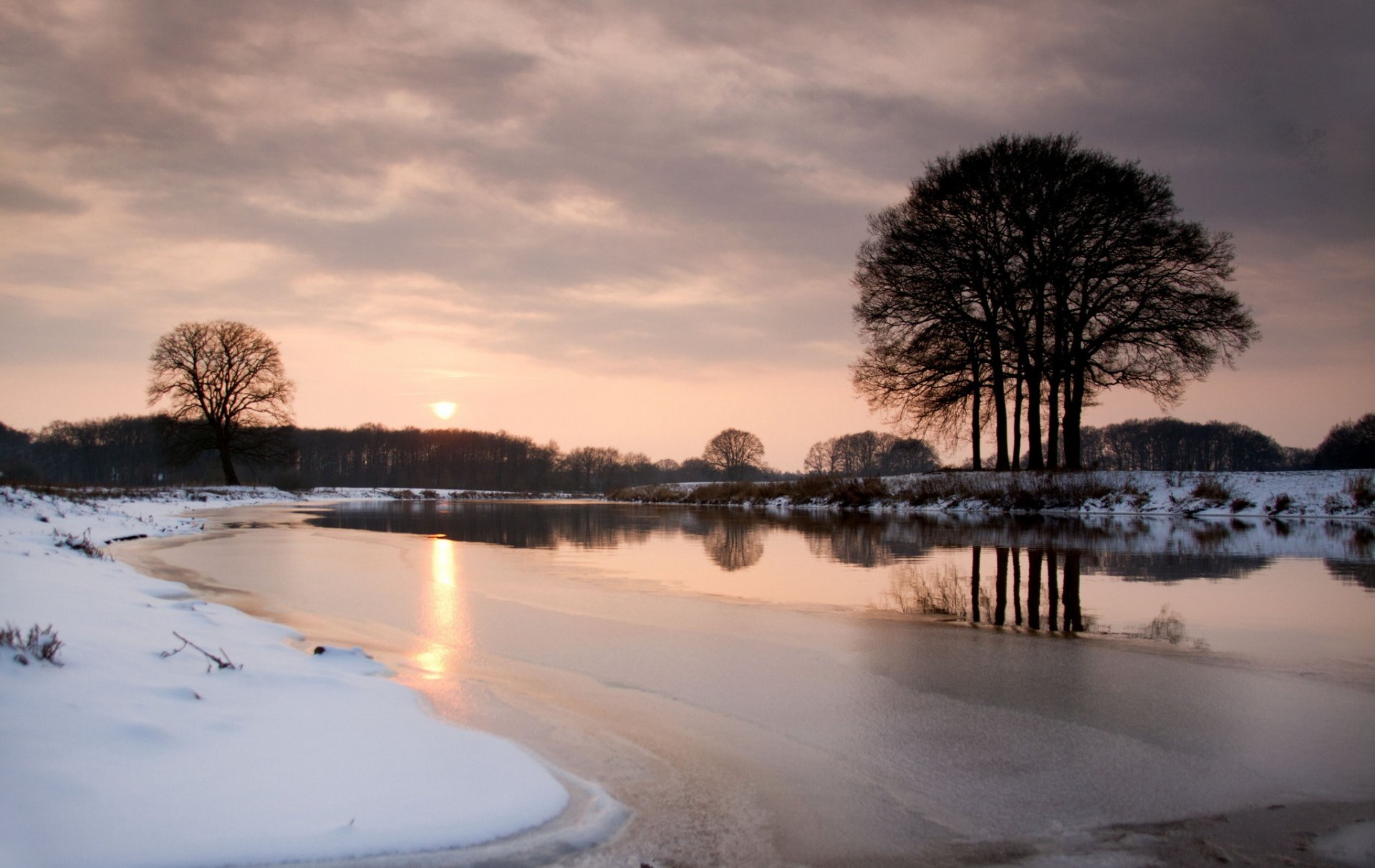 winter night tree river next snow sunset