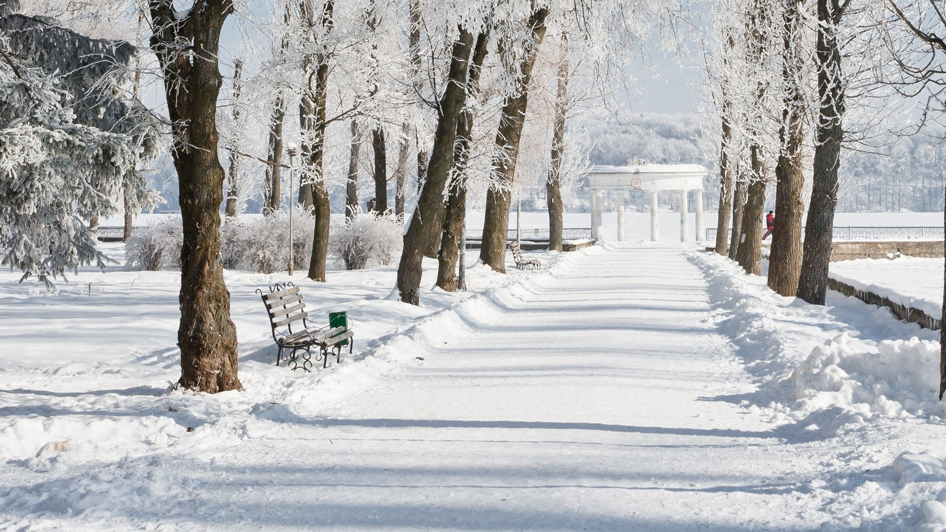 invierno nieve parque