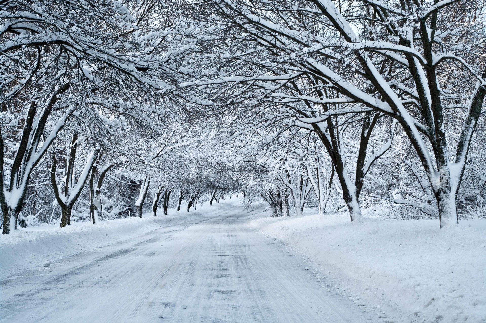 strada neve foresta inverno