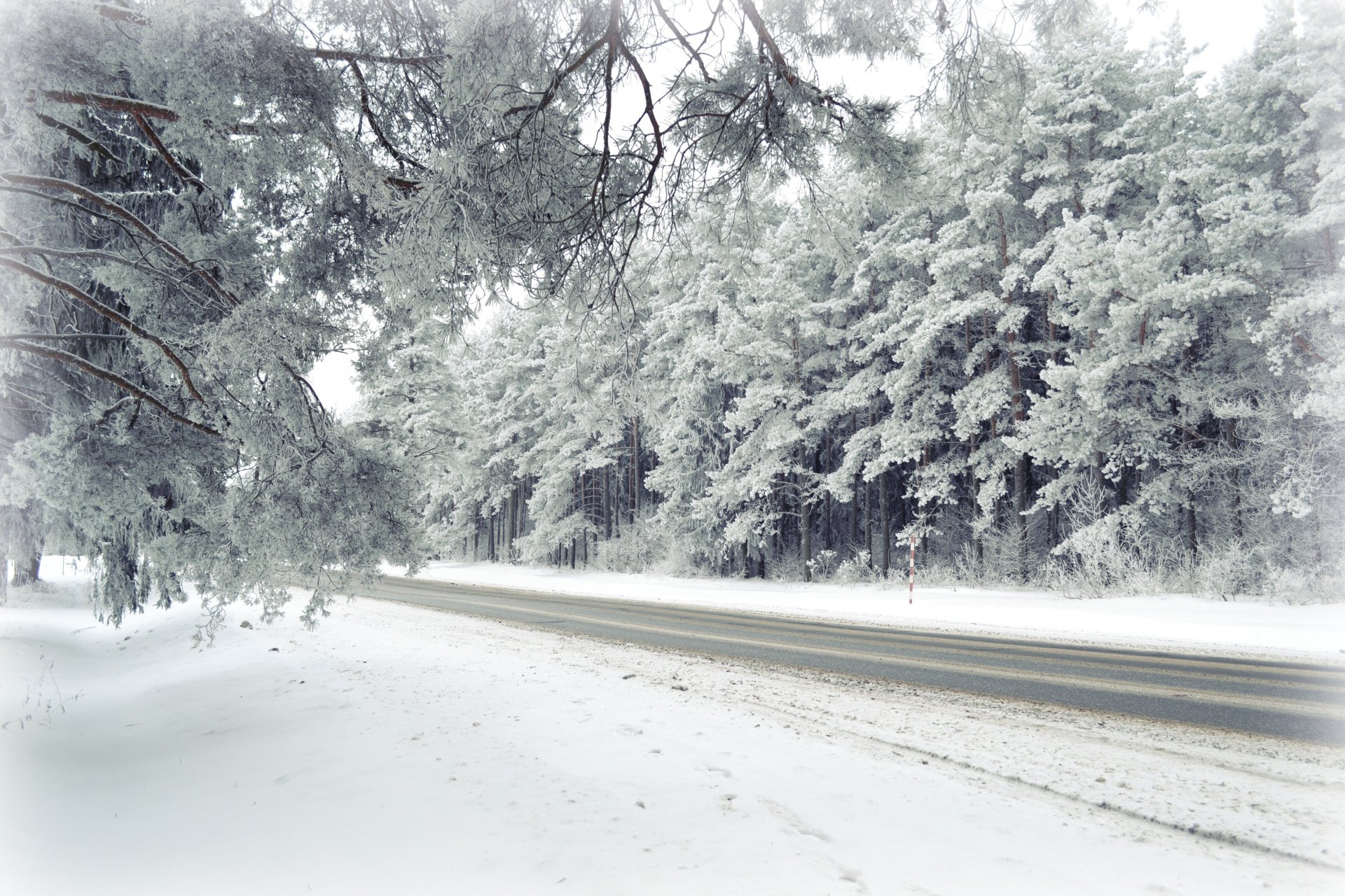 carretera invierno bosque naturaleza paisajes escarcha