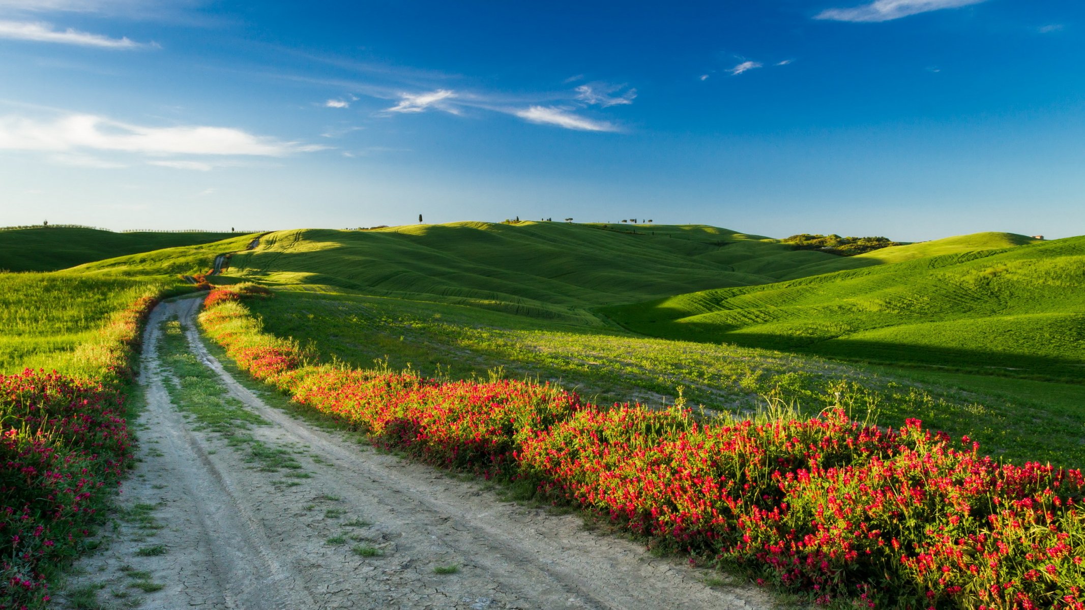 toscana italia campo paisaje camino