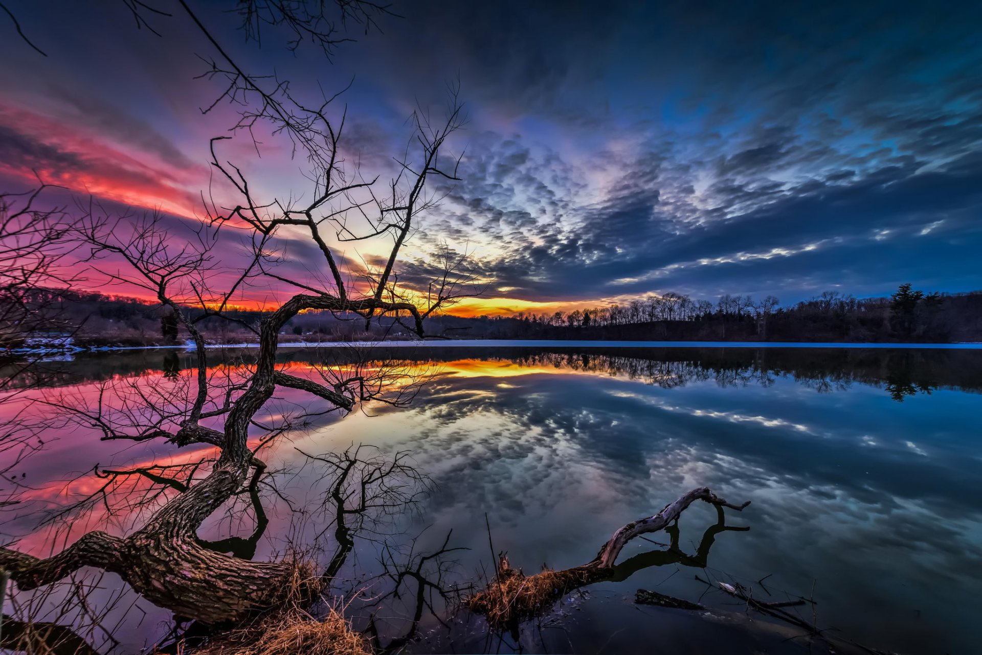 lake water tree branches night sunset clouds sky nature landscape