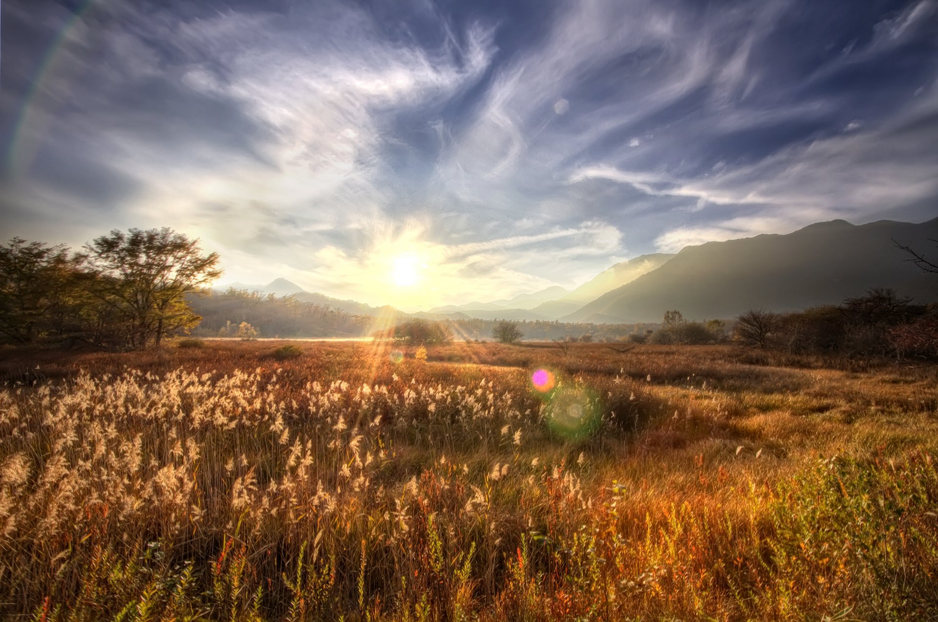 berge bäume feld sonne strahlen blendung