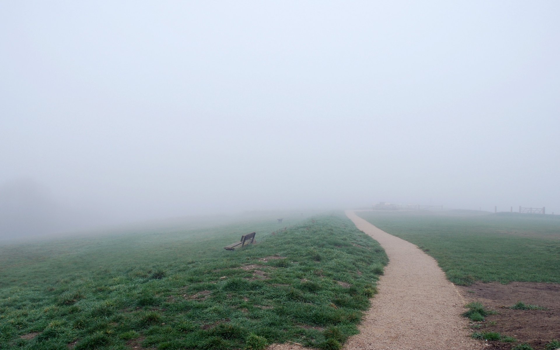 champ route banc brouillard nature