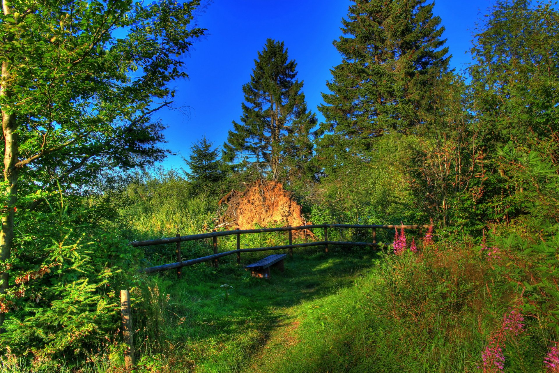 paisaje alemania verano hesse naturaleza