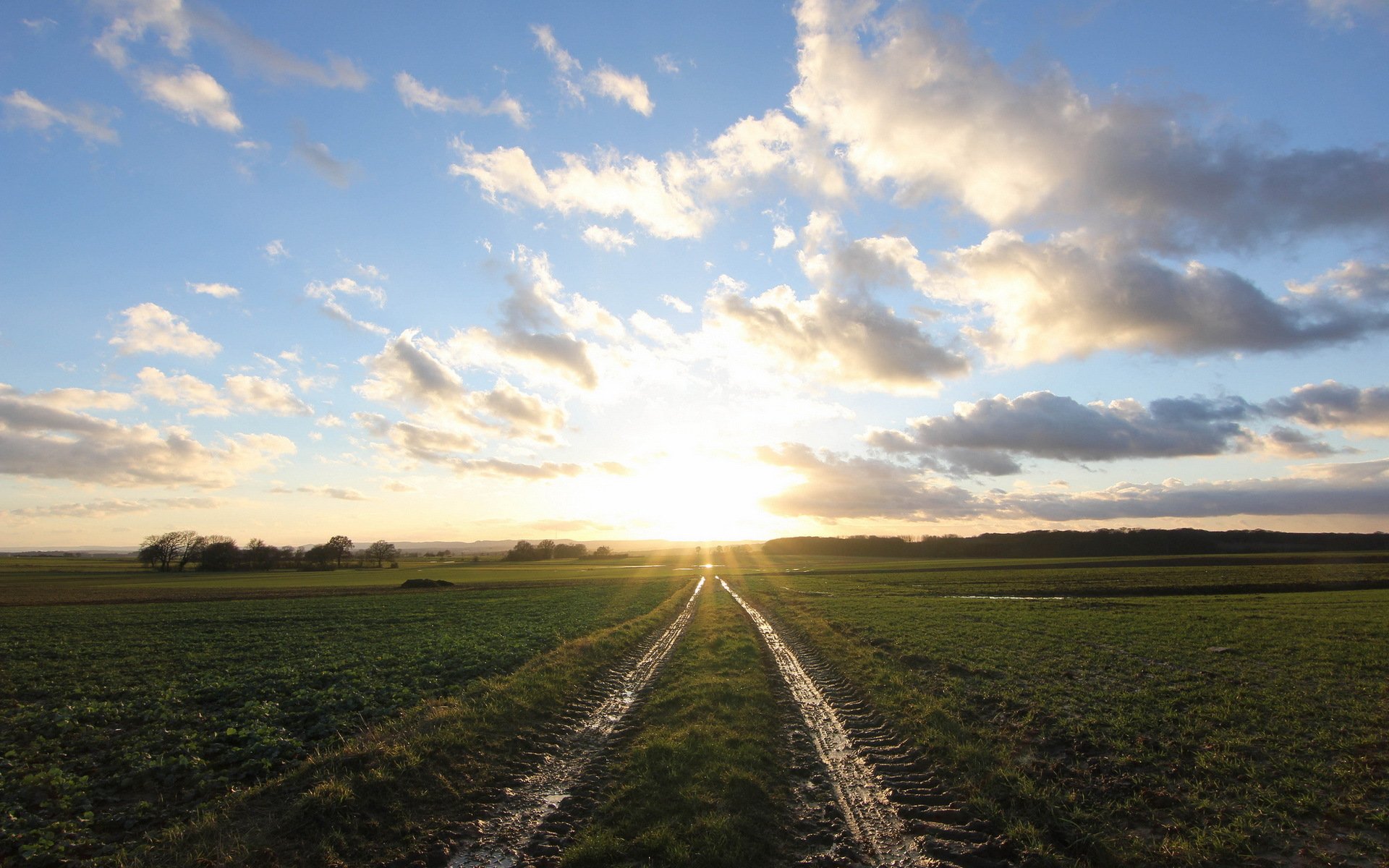 morgen feld landschaft