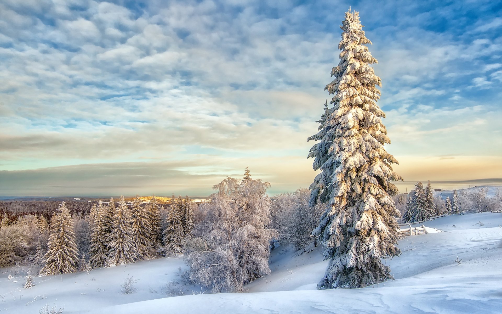 inverno neve paesaggio