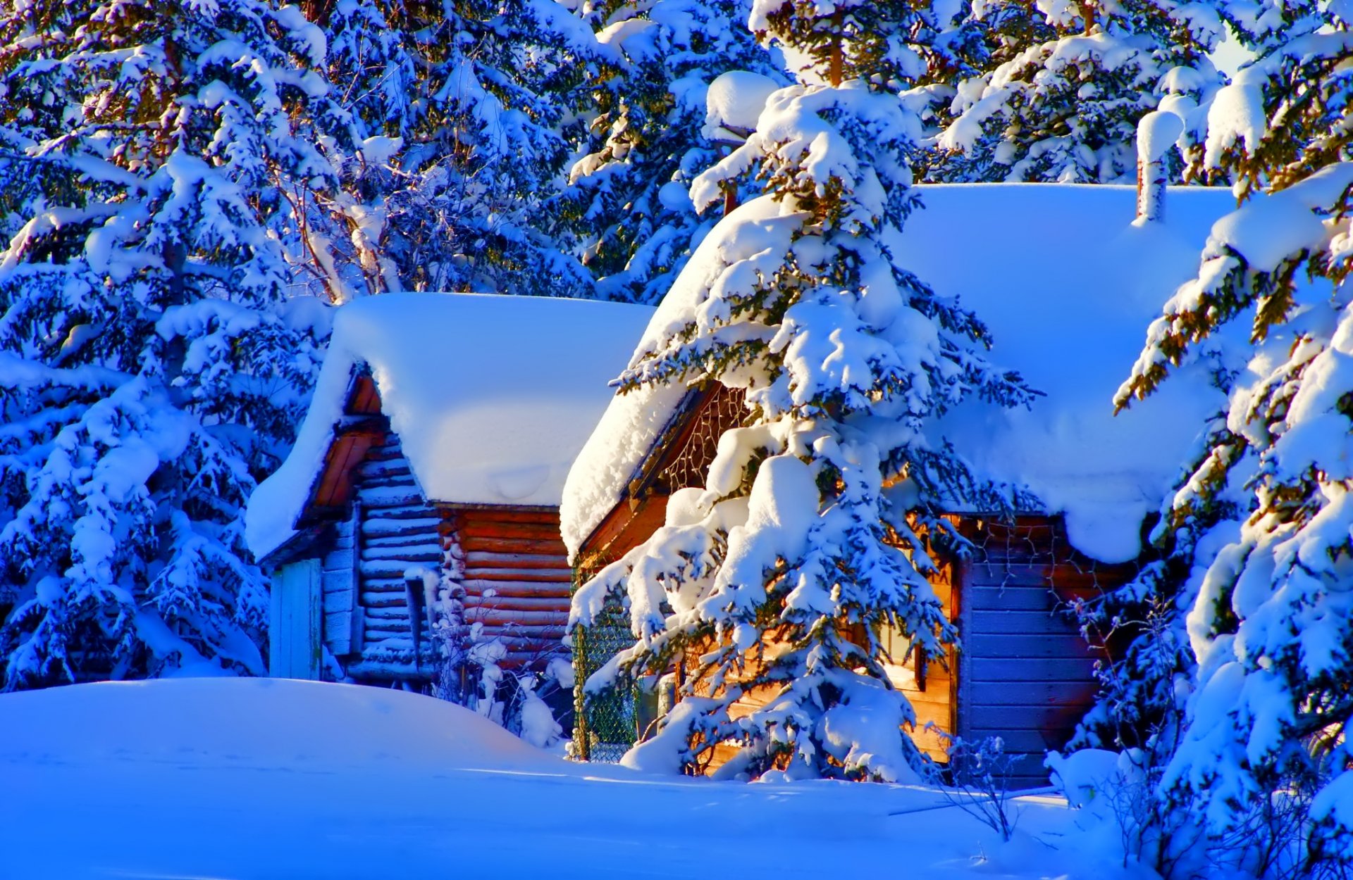 invierno casa nieve abeto naturaleza foto