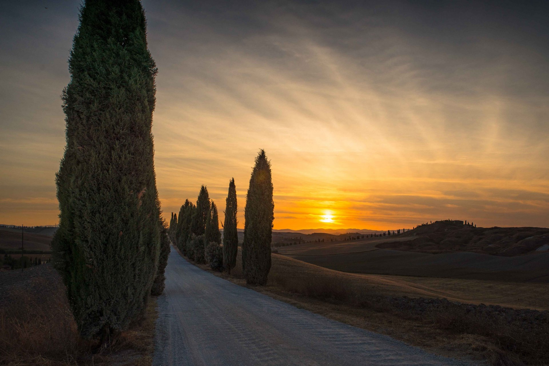 italia toscana strada cipressi sera tramonto