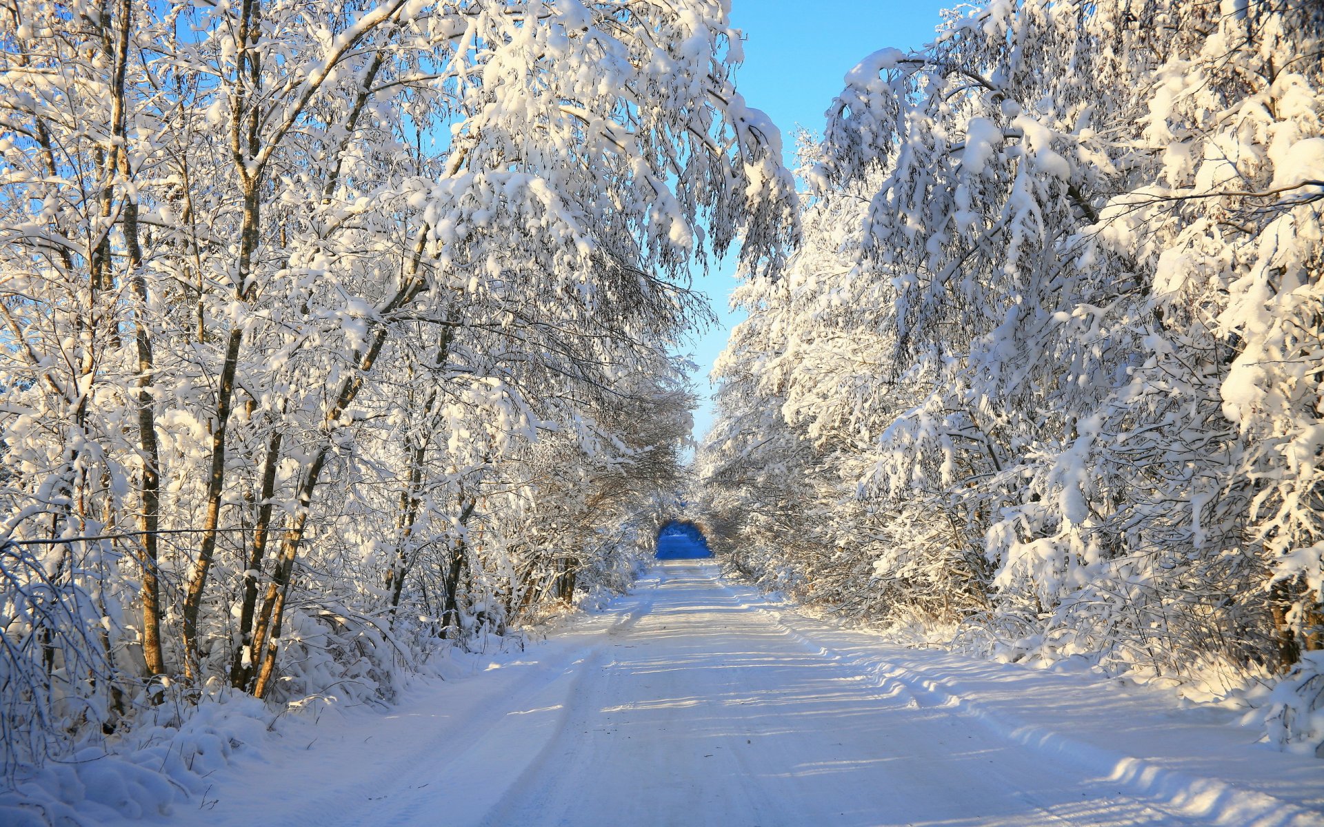 hiver neige paysage