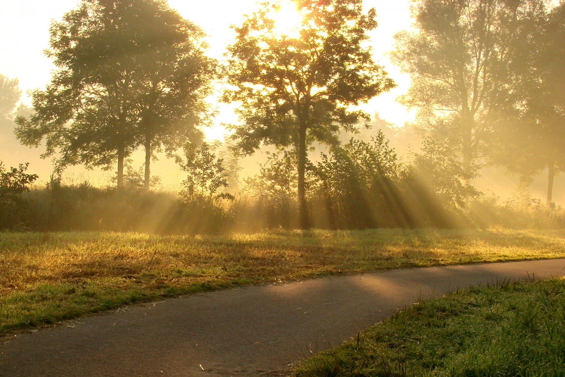 été soleil rayons route